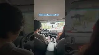 Tinatanong nila sa akin ang mga ninuno nila. Gusto nila mlaman DNA nila