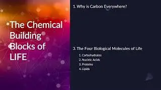 Introduction to the Chemical Building Blocks of Life