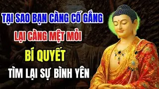 Tại Sao Bạn Càng Cố Gắng Lại Càng Mệt Mỏi? Bí Quyết Tìm Lại Sự Bình Yên