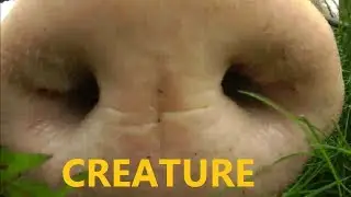CREATURE Caught on Tape - Alien Lifeform w/ Weight Problems - REAL PROOF 2013