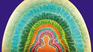 YoginiYogin - Yoga Playlists (Light Hyphen Music)