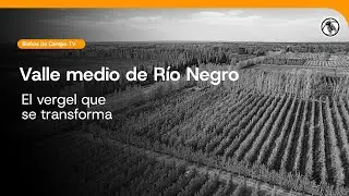 Bichos de Campo TV: Valle medio de Río Negro