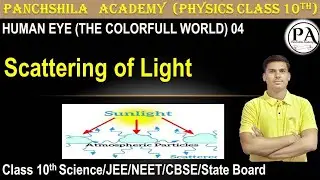 Scattering of Light | Class 10 Science Chapter 11 | Tyndall Effect & Blue Sky Explained