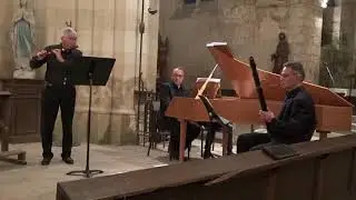 LE TRIO DREIECKE EN CONCERT