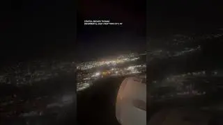 Caught on video: Bird strike forces plane to make emergency landing