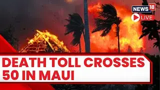 Hawaii Fire Live Stream | Hawaii Wildfire | Maui Fire Death Toll Rises Above 50 | Maui Hawaii Live