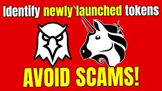 Identify newly launched crypto tokens and avoid scams