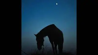 (free) Frank Ocean x Kanye West x Yeat type beat 