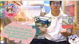 Những tiêu chí chọn chuồng hamster mà người mới nuôi hamster phải biết