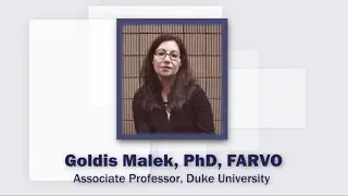 Get to know - ARVO member Goldis Malek