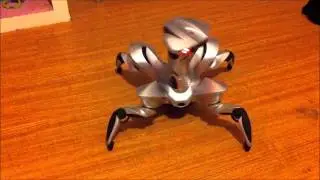 Roboquad