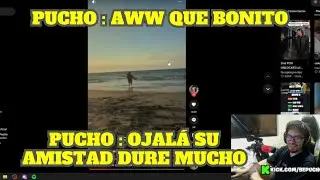 PUCHO REACCIONA A GLOGLO Y EMIKUKIS EN LA PLAYA DE M&Aacute;NCORA