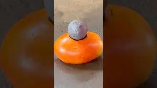 Fire Sphere VS Tomato. #experiencing #firemaking #workingfire #foundry #satisfying #foundrymeltingfu