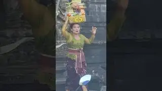 Tradisi Adat Budaya Bali‼️#budayabali #tradisibudaya #culturaltraditions