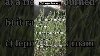 025. Fill in the Blank with Your Own Ending | #FillInTheBlank #AncientWisdom #ChineseProverb #Shorts