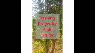 Opening prayer for Bible study
