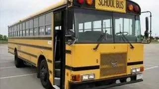 Wayne School Buses