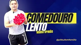 Comedouro lento para c&atilde;es ansiosos , funciona ? Veja minha opini&atilde;o  👇🏽 #youtube #cachorro #animais