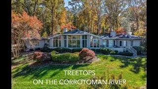 TREETOPS ON THE CORROTOMAN RIVER