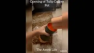 The Most Loved Pure Copper Bedside Jar of 2022 - Tulip Pot by The Amrit Life 8851336672
