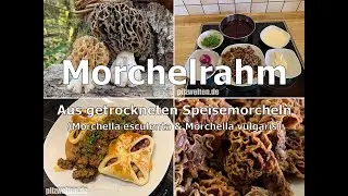 Rezept | Morchelrahm aus getrockneten Speisemorcheln | Morchella esculenta | Morchella vulgaris