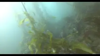 GOPR0011