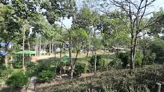 Dhanshree Resort18