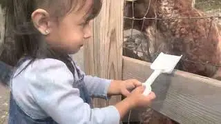 Anam&rsquo;s visit to the Petting farm - Abma&rsquo;s farm - Wykoff NJ
