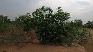 Bhalki Machan, 1 day Bike trip from kolkata.