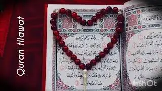 Surah an_naba | heart touching recitation| servent-of-Allah-w23 💖🫀