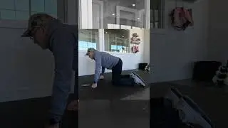Why Do Cats Stretch Like This? Find Out!