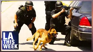 ATF Hosts K-9 Team Training