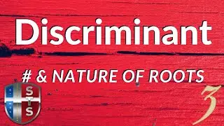 Discriminant   (1 real root)