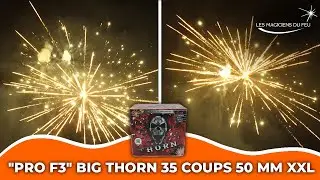 Compact d'artifice - 