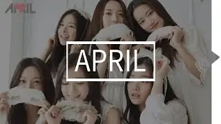 April Members Profile