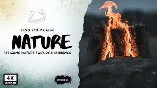 Fire Whispers for Deep Sleep Relaxation 🔥🌙