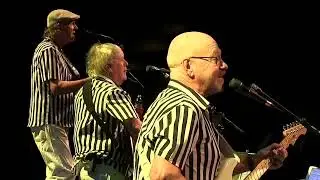 Surfing Safari - BackBeat OFFICIAL VIDEO