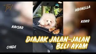 TM STORIES - ABONELLA DAN KAISAR DIAJAK JALAN-JALAN BELI AYAM !