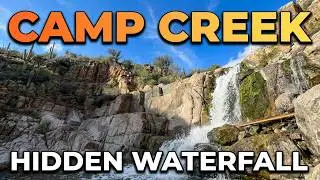 Finding Desert Waterfalls | Camp Creek Trail, Arizona