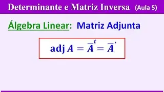 Determinante e Matriz Inversa - AULA 5: MATRIZ ADJUNTA