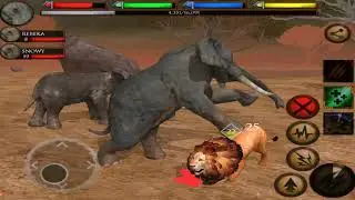 Elephant VS Crocodile, Cheetah, Lion, Hyena, Leopard, Rhino, Hippo, 3D Story Walkthrough Part 5