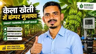 How To Do Banana Farming With Automation Technology | Step by Step Complete Guide | Agribist