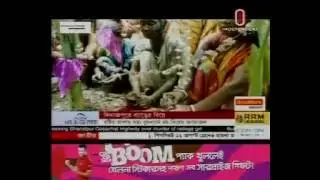 ব্যাঙের বিয়ে Frog marriage INDEPENDENT TV