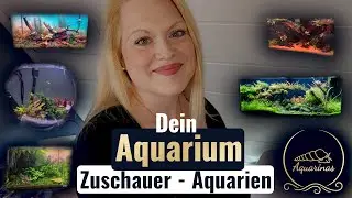 Zuschauer-Aquarien im Check! | So vielseitig ist unsere Community