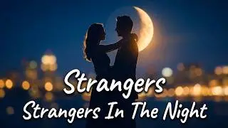 Strangers In The Night