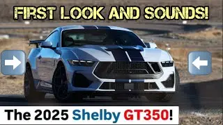 The All-New Shelby GT350!!!!
