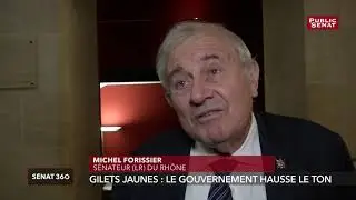 Gilets jaunes : quel soutien chez les s&eacute;nateurs LR ?