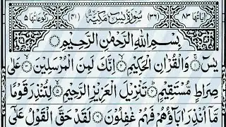 Surah Yasin📿☘️ & Surah Rahman | Beautiful Quran Calming Recitation Surah mulk  All Surah | Ep-224