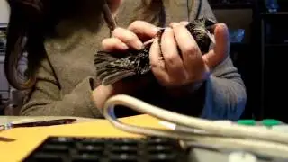 clipping nails.MPG