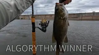 Catching EVERYTHING on ULTRALIGHT!  ( Random Ramble by the Dam )